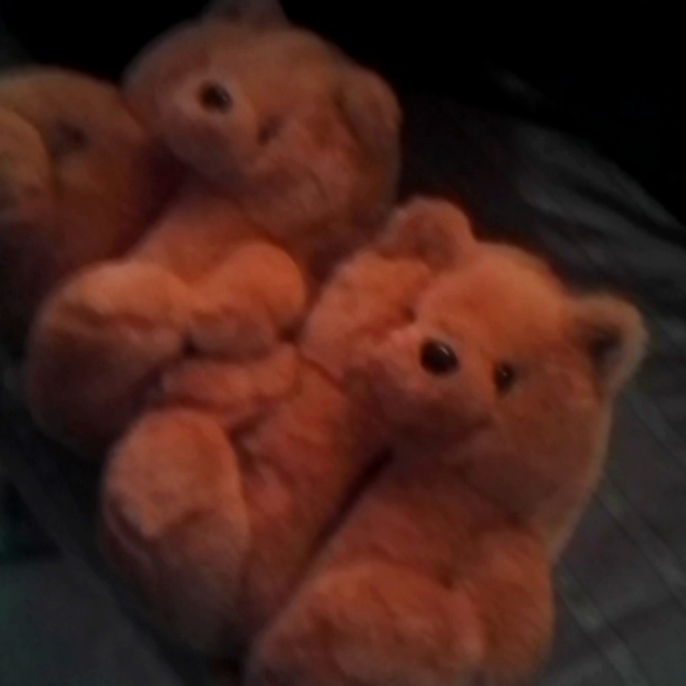 Teddy Bear